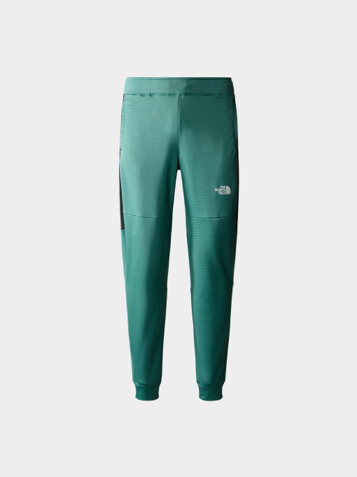 Брюки The North Face модель NF0A823UONO1 Фото