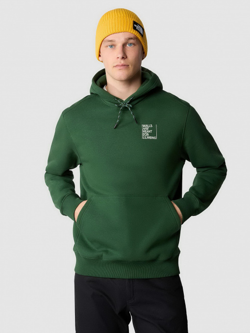 Худи и свитшоты The North Face модель NF0A8522I0P1 Фото
