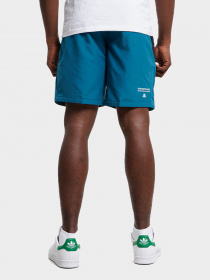 Шорты The North Face модель NF0A7ZAPES31 Фото