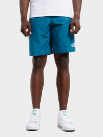 Шорты The North Face модель NF0A7ZAPES31 Фото