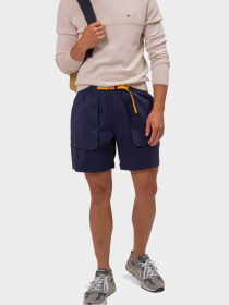 Шорты The North Face модель NF0A81WZ8K21 Фото