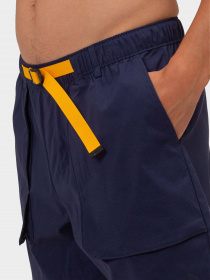 Шорты The North Face модель NF0A81WZ8K21 Фото