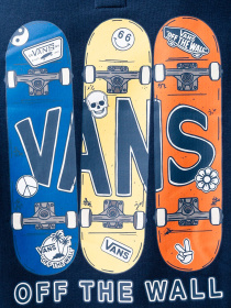 Худи и свитшоты Vans модель VN00087ULKZ1 Фото