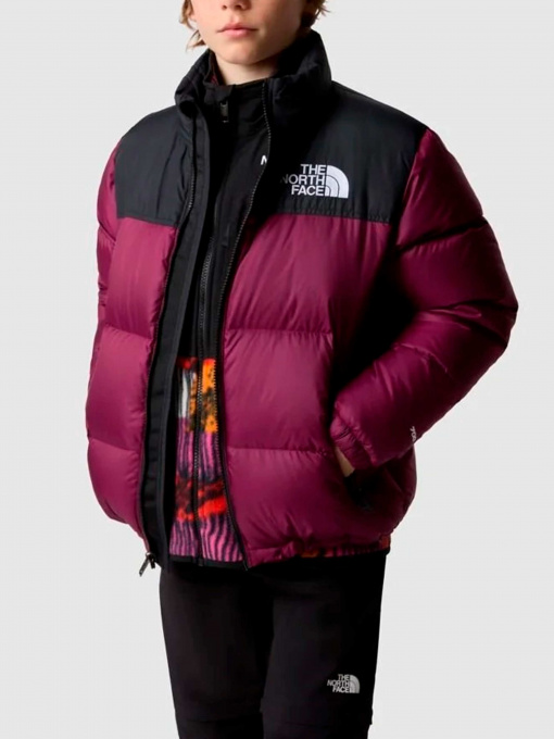 Куртки и дубленки The North Face модель NF0A82UDI0H1 Фото