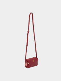 Сумки Tommy Hilfiger модель AW0AW15245-XJS Фото