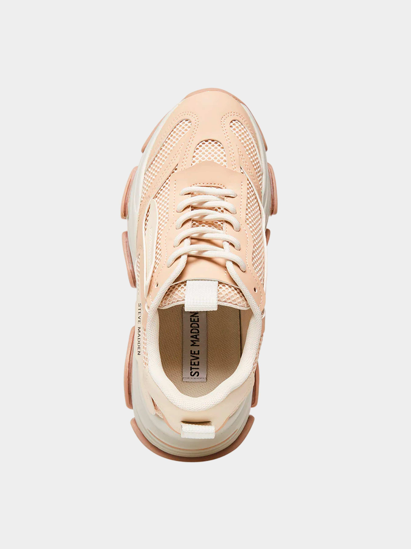 Кроссовки Steve Madden модель SM19000033 TAN MULTI Кроссовки Steve Madden модель SM19000033 TAN MULTI Фото