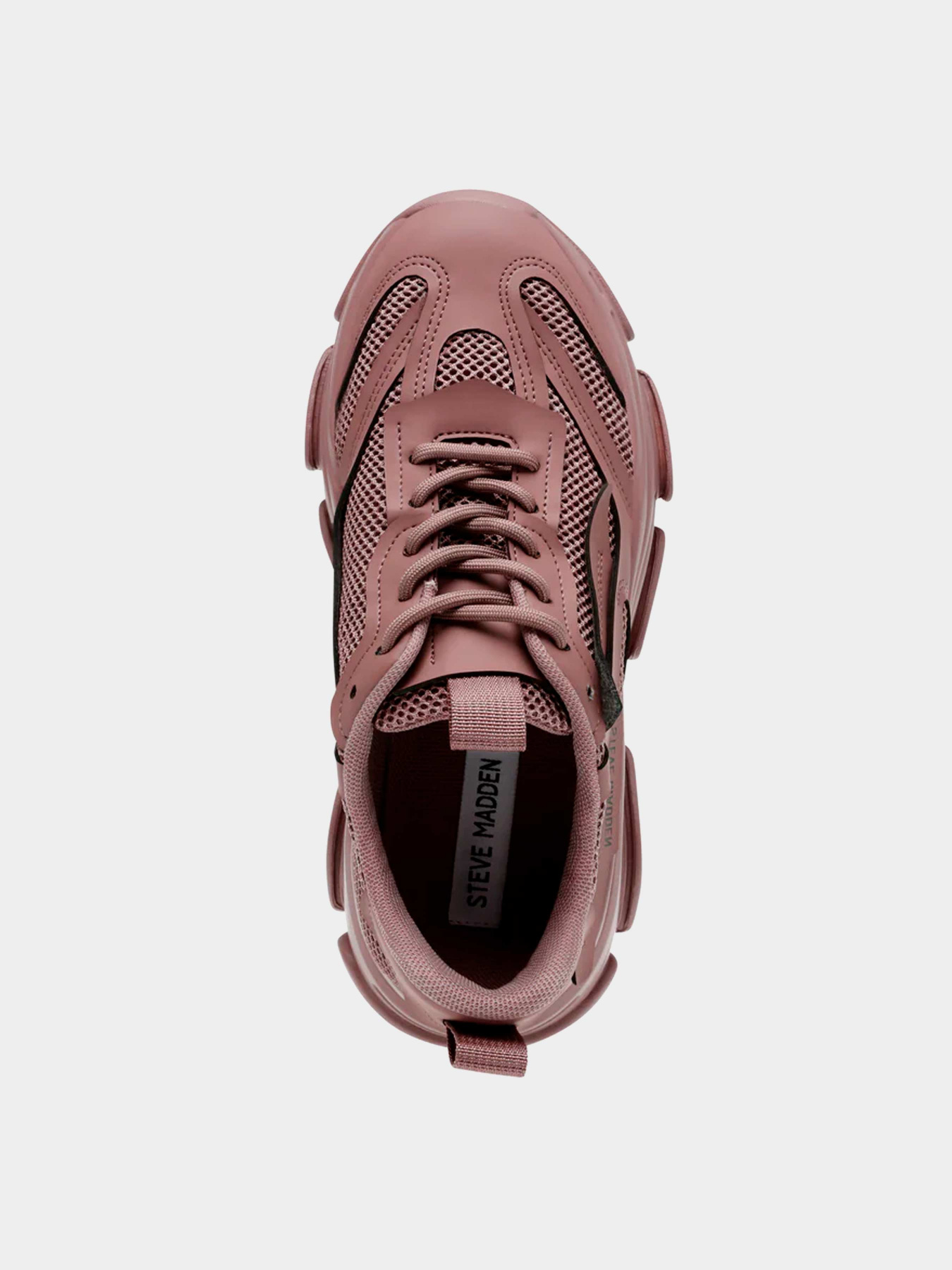 Кроссовки Steve Madden модель SM19000033 DARK MAUVE Кроссовки Steve Madden модель SM19000033 DARK MAUVE Фото