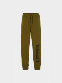 Брюки Timberland модель TB0A2BVFDY7 Фото