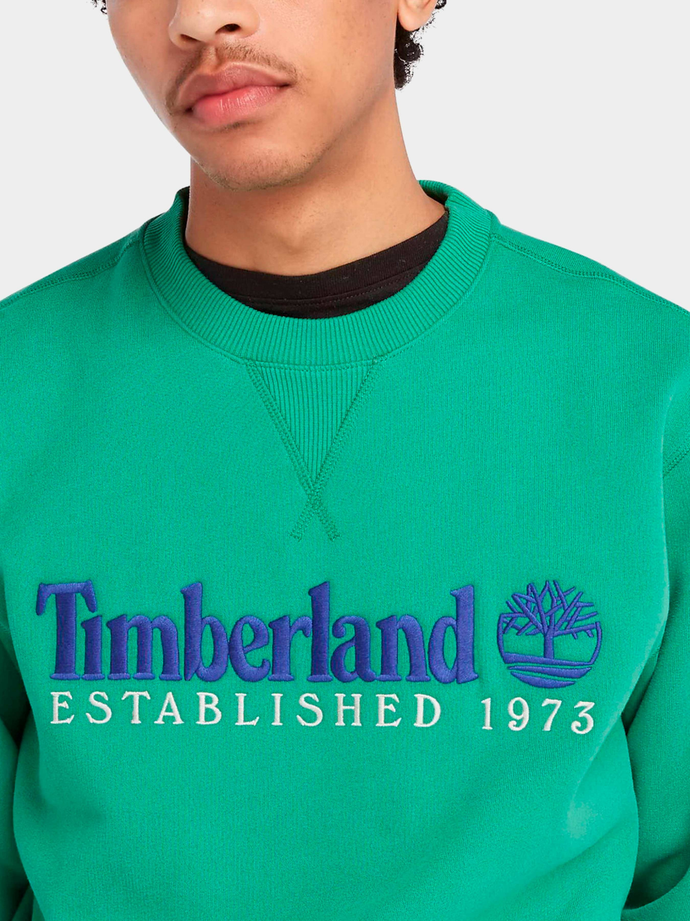 Худи и свитшоты Timberland модель TB0A65DDED3 Фото