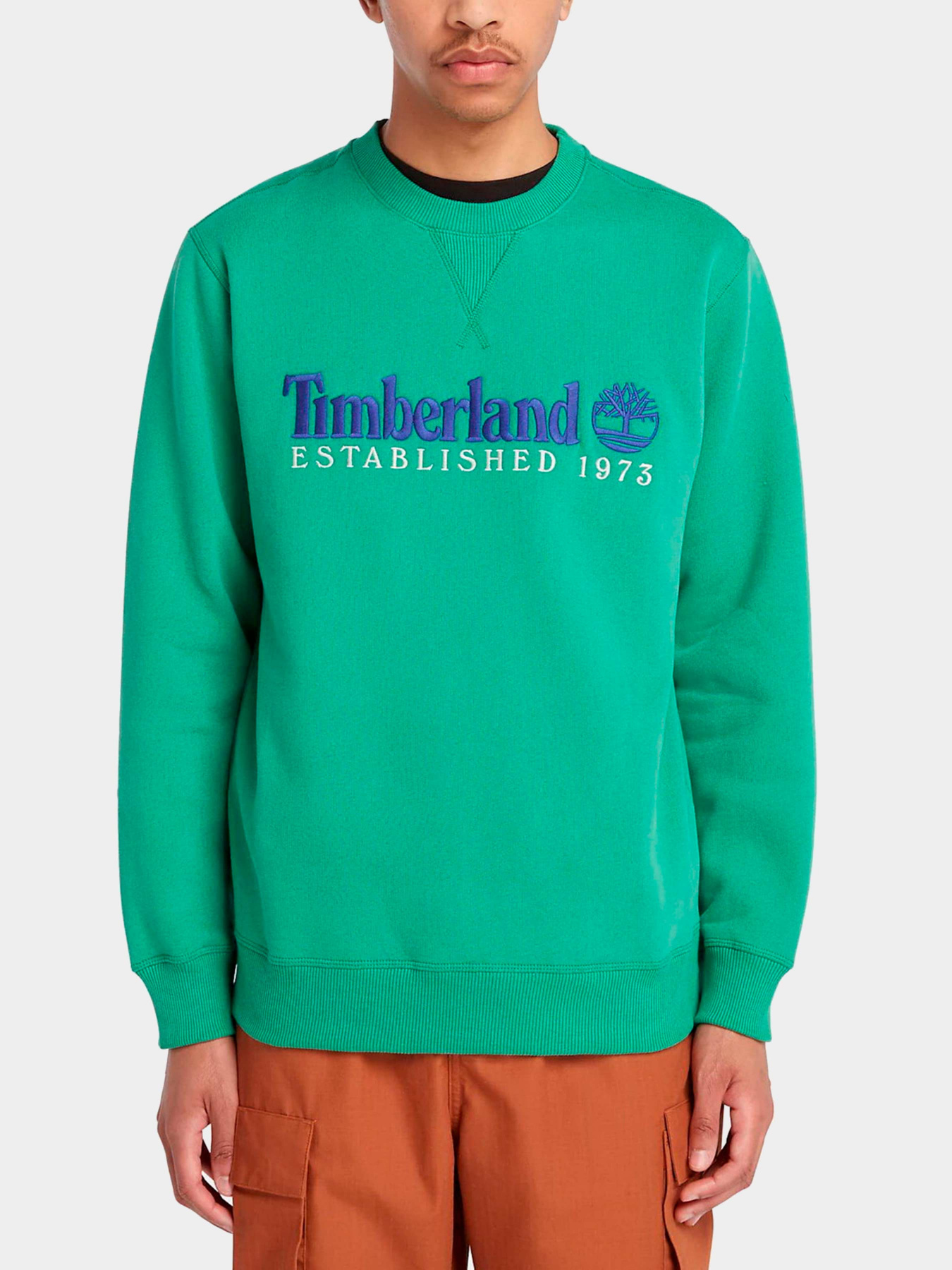 Худи и свитшоты Timberland модель TB0A65DDED3 Фото