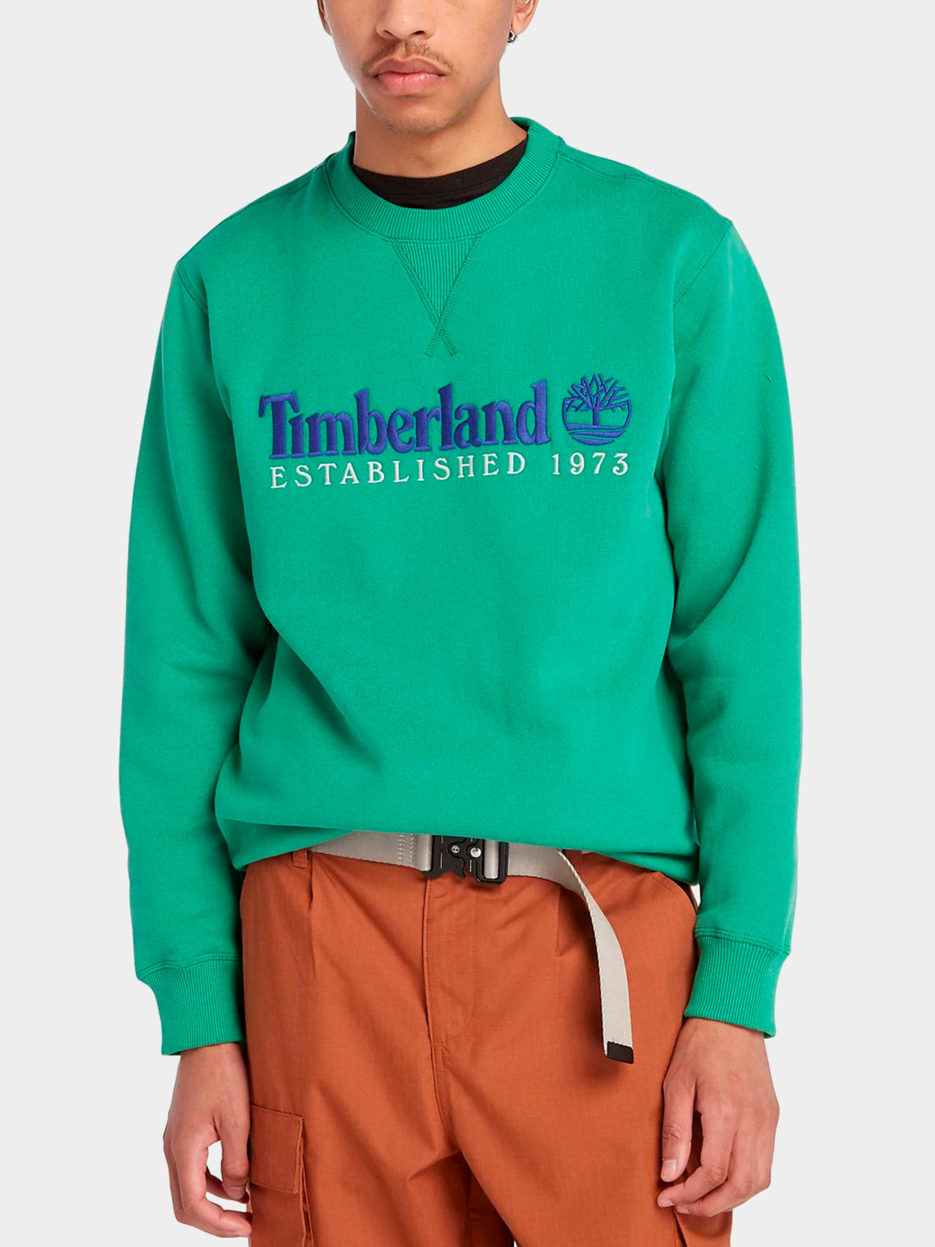 Худи и свитшоты Timberland модель TB0A65DDED3 Фото