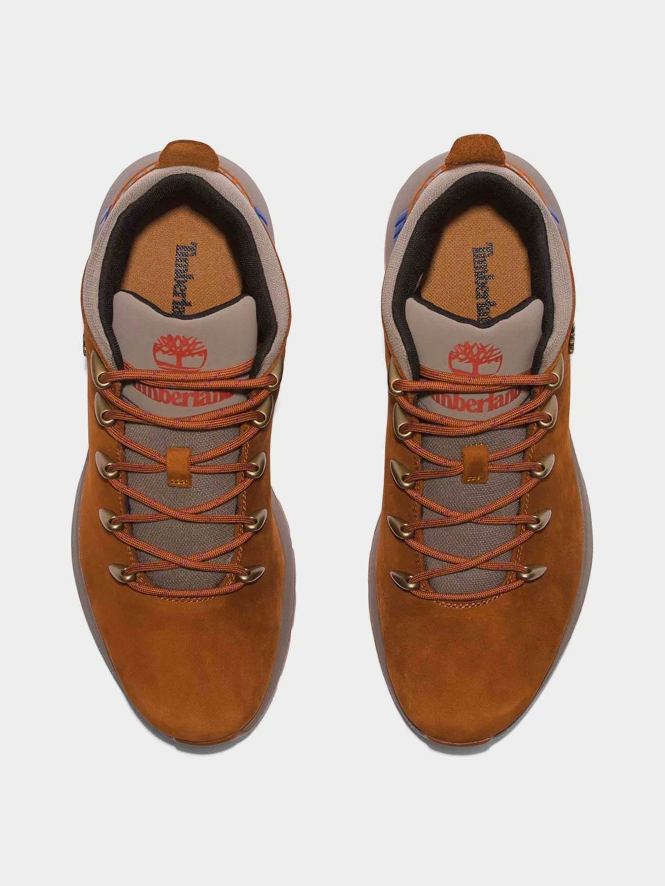 Ботинки и сапоги Timberland модель TB0A61FZF13 Фото