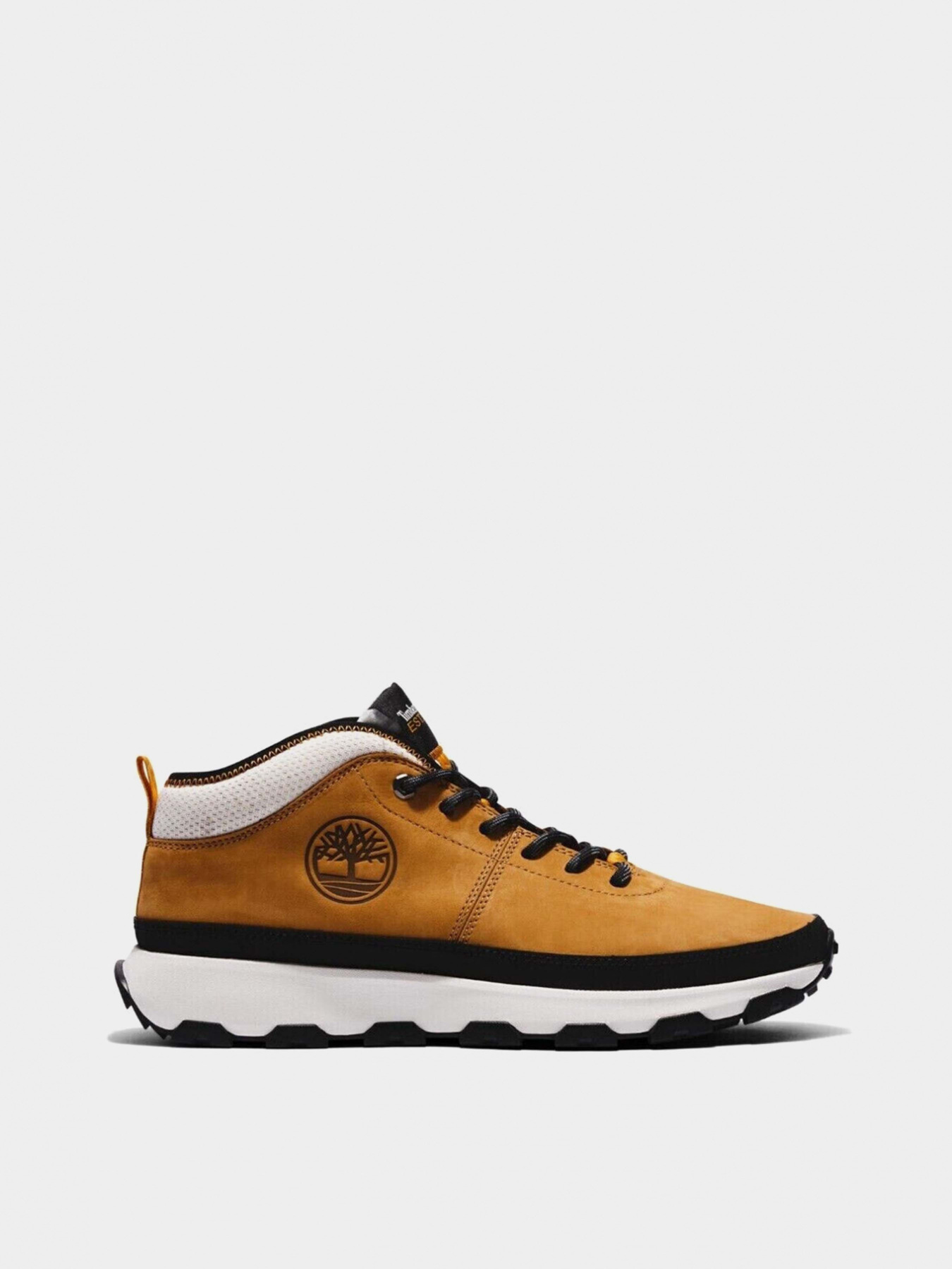 Полуботинки Timberland GreenStride™ модель TB0A5TWV231 Полуботинки Timberland GreenStride™ модель TB0A5TWV231 Фото