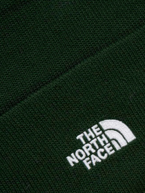 Шапки и кепки The North Face модель NF0A5FW1I0P1 Фото