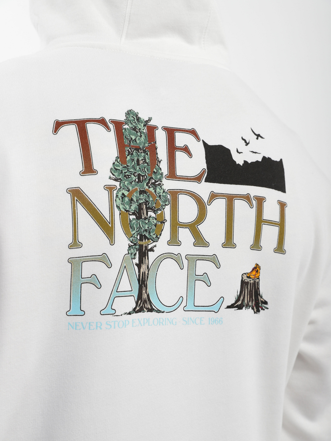 Худи и свитшоты The North Face модель NF0A7X1POFK1 Фото