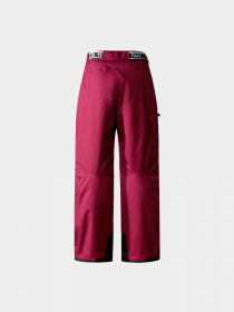 Брюки The North Face модель NF0A82Y7I0H1 Фото