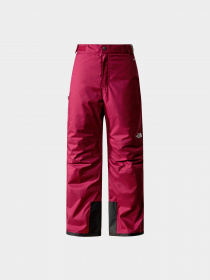 Брюки The North Face модель NF0A82Y7I0H1 Фото