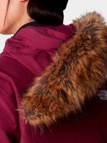 Куртки и дубленки The North Face модель NF0A84J2I0H1 Фото