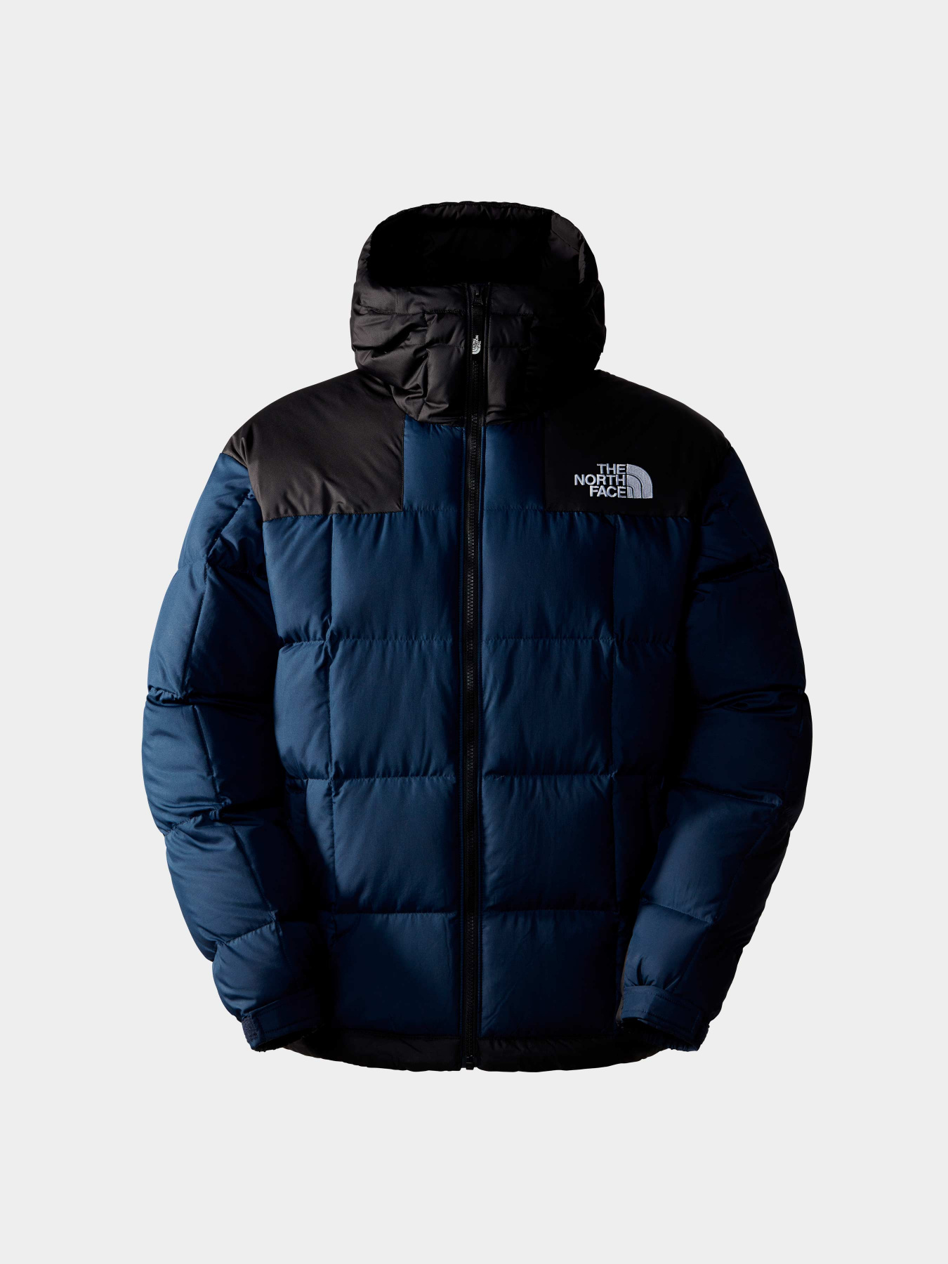 Куртки и дубленки The North Face модель NF0A853C92A1 Фото