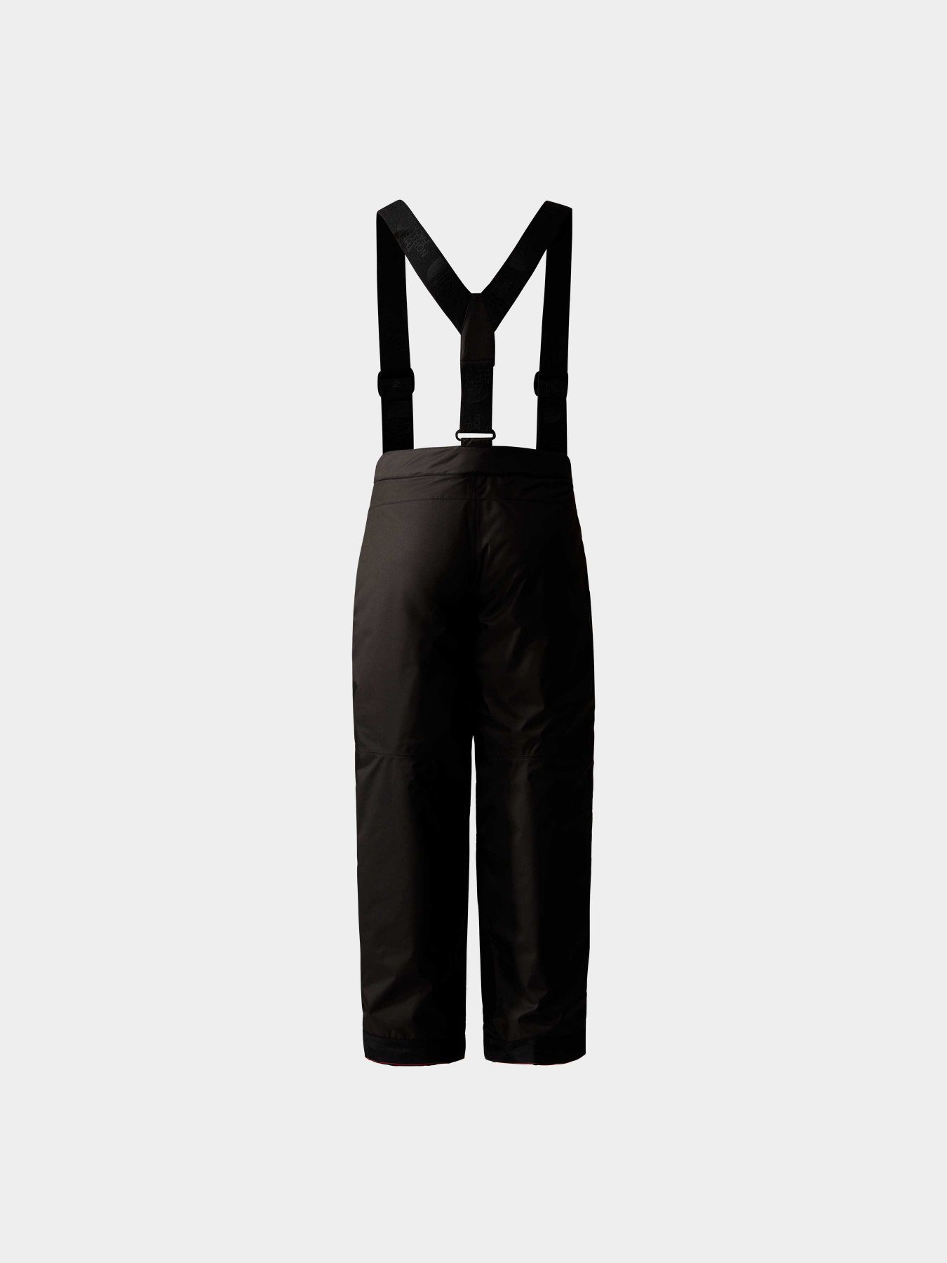 Брюки The North Face модель NF0A8556JK31 Фото