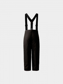 Брюки The North Face модель NF0A8556JK31 Фото