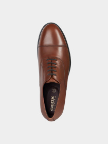 Туфли и лоферы Geox модель U36FXA-00043-C6002 Фото