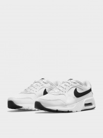 Кроссовки NIKE модель CW4554-103 Фото
