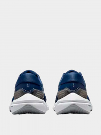 Кроссовки NIKE модель DA7245-403 Фото