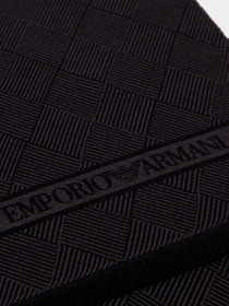 Шарфы и платки Emporio Armani модель 625011-0A311-00020 Фото