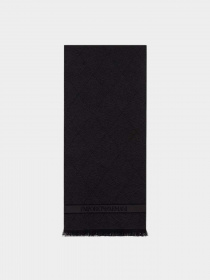 Шарфы и платки Emporio Armani модель 625011-0A311-00020 Фото