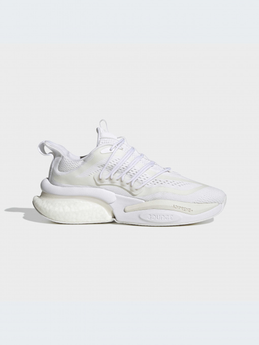 Кроссовки Adidas Alphabounce модель HP2759-KZ Фото