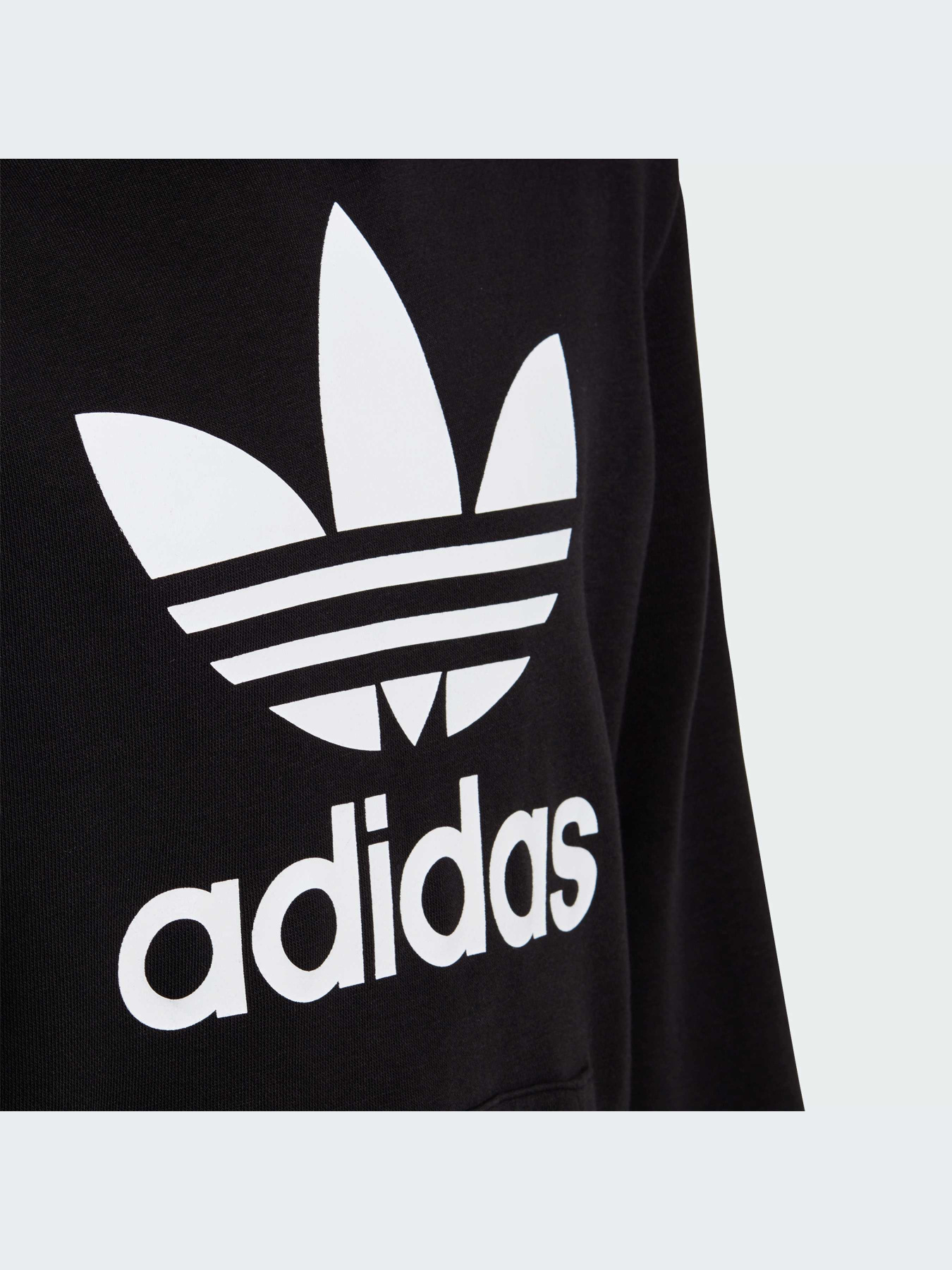 Худи и свитшоты Adidas Trefoil модель DV2870-KZ Фото