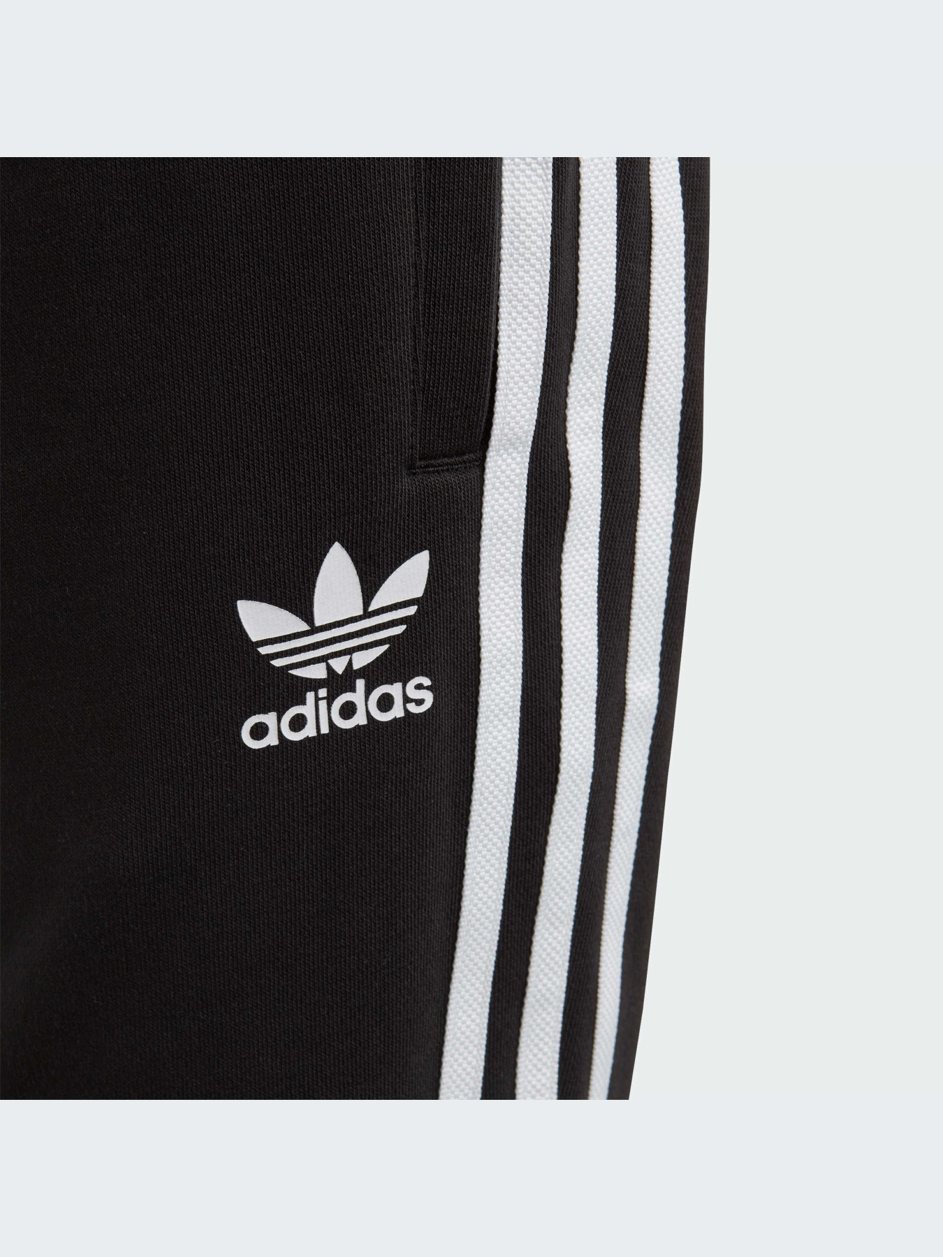 Брюки Adidas Adicolor модель DV2872-KZ Фото