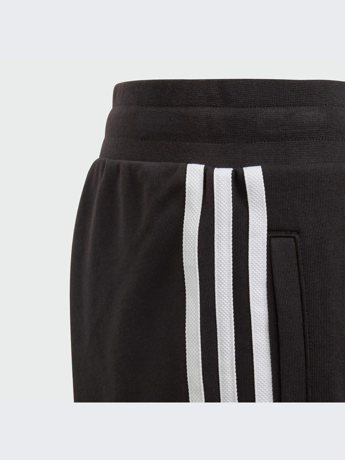 Брюки Adidas Adicolor модель DV2872-KZ Фото