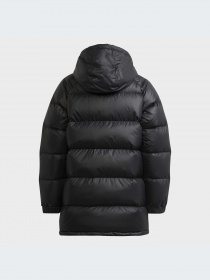 Куртки и дубленки Adidas модель H34567-KZ Фото