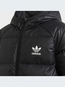 Куртки и дубленки Adidas модель H34567-KZ Фото