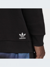 Худи и свитшоты Adidas Graphics модель HC7180-KZ Фото