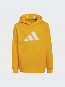 Спортивная одежда Adidas модель HF2181-KZ Фото