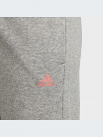 Брюки Adidas модель HE1976-KZ Фото