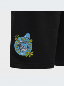 Шорты Adidas Graphics модель HF7447-KZ Фото