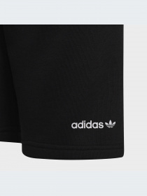 Шорты Adidas Graphics модель HF7447-KZ Фото