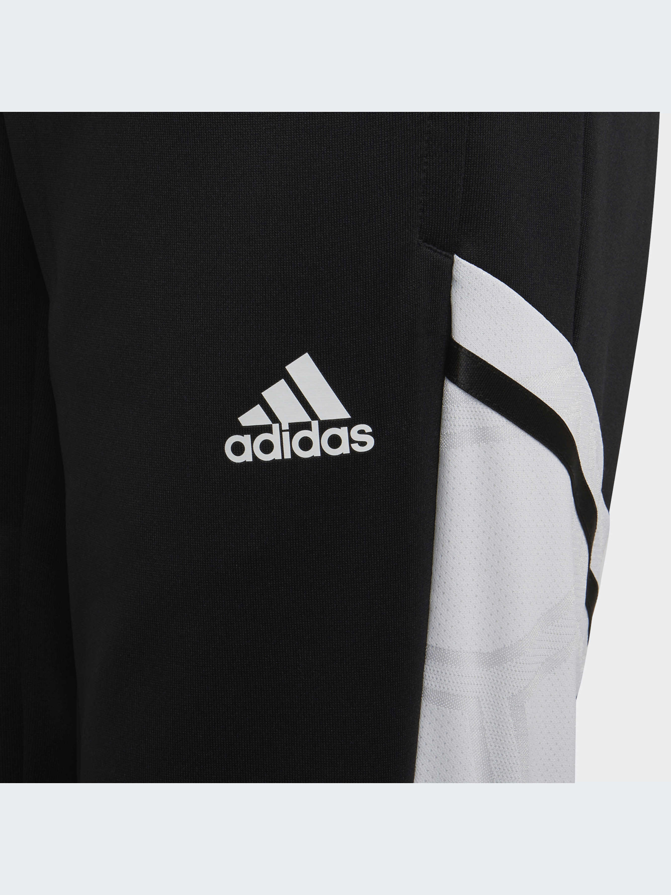 Брюки Adidas Condivo модель HA6258-KZ Фото
