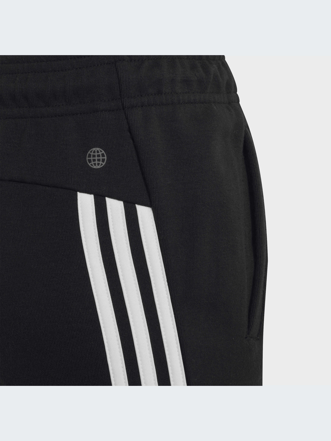 Брюки Adidas Icons модель HR6313-KZ Фото