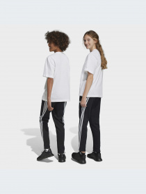 Брюки Adidas Icons модель HR6313-KZ Фото