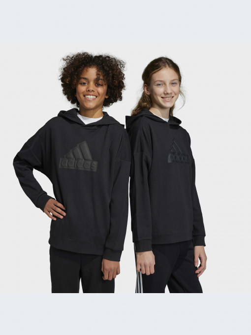 Худи и свитшоты Adidas Icons модель HR6301-KZ Фото