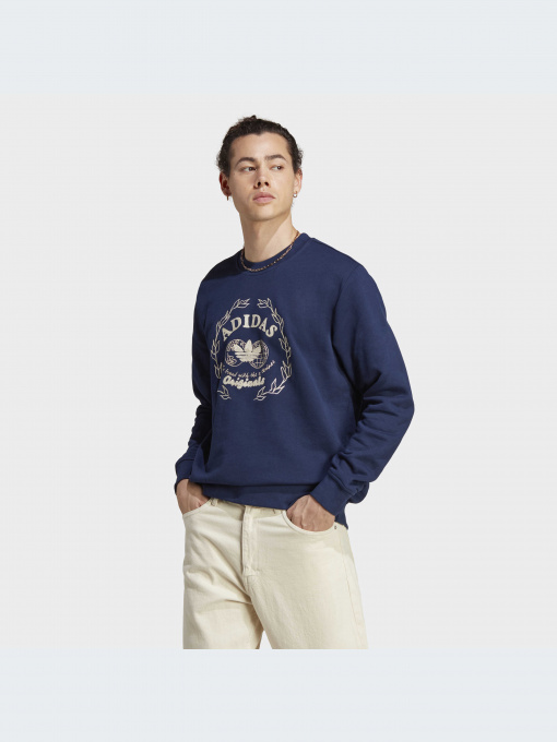 Худи и свитшоты Adidas Graphics модель IC5769-KZ Фото