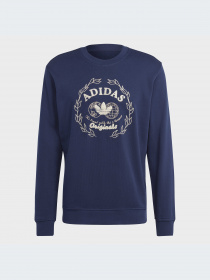 Худи и свитшоты Adidas Graphics модель IC5769-KZ Фото