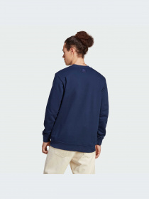 Худи и свитшоты Adidas Graphics модель IC5769-KZ Фото