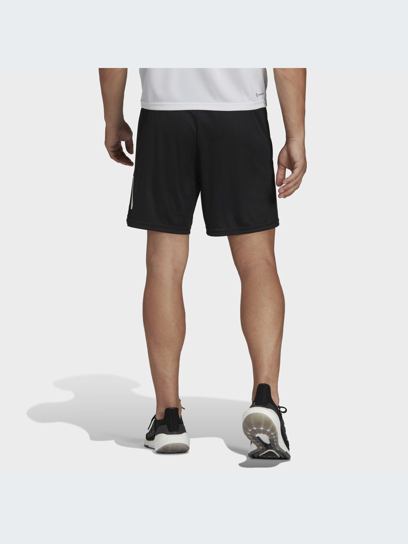 Шорты Adidas модель IB8121-KZ Фото