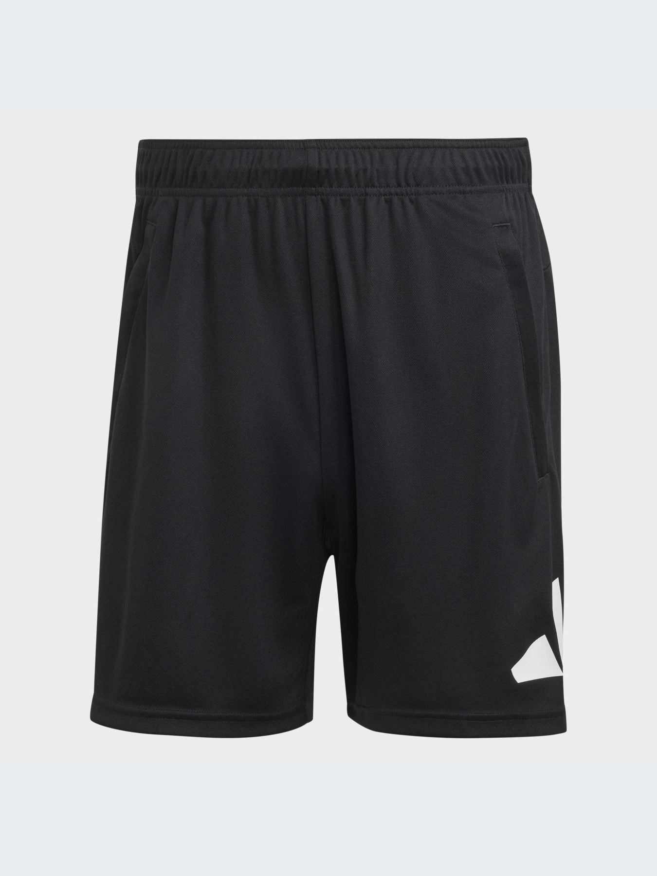 Шорты Adidas модель IB8121-KZ Фото